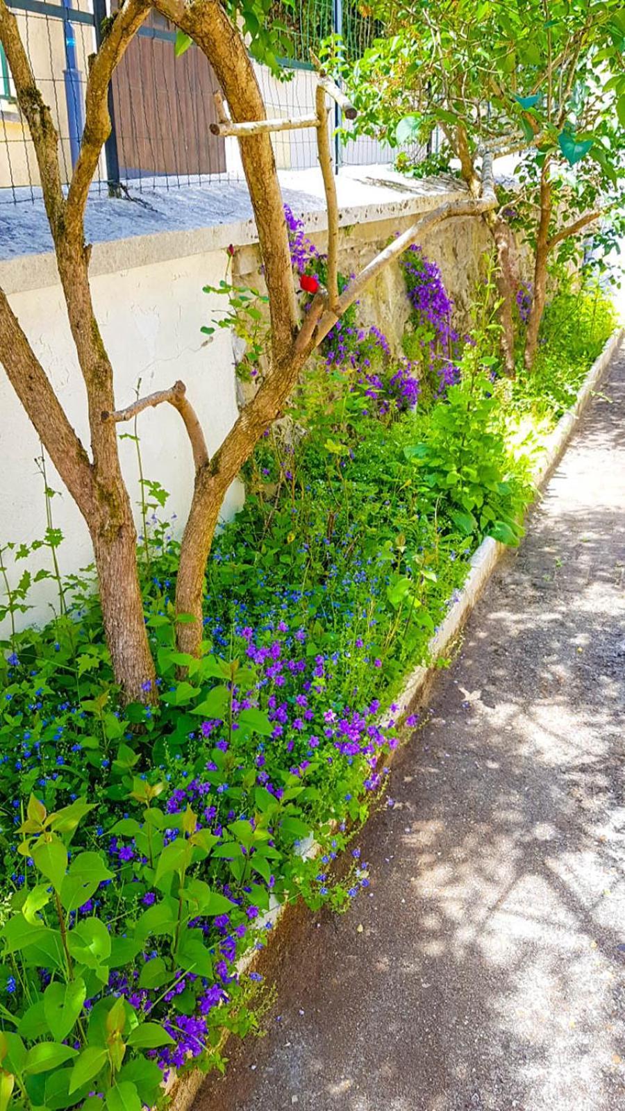 Villa Reiala שאביל מראה חיצוני תמונה